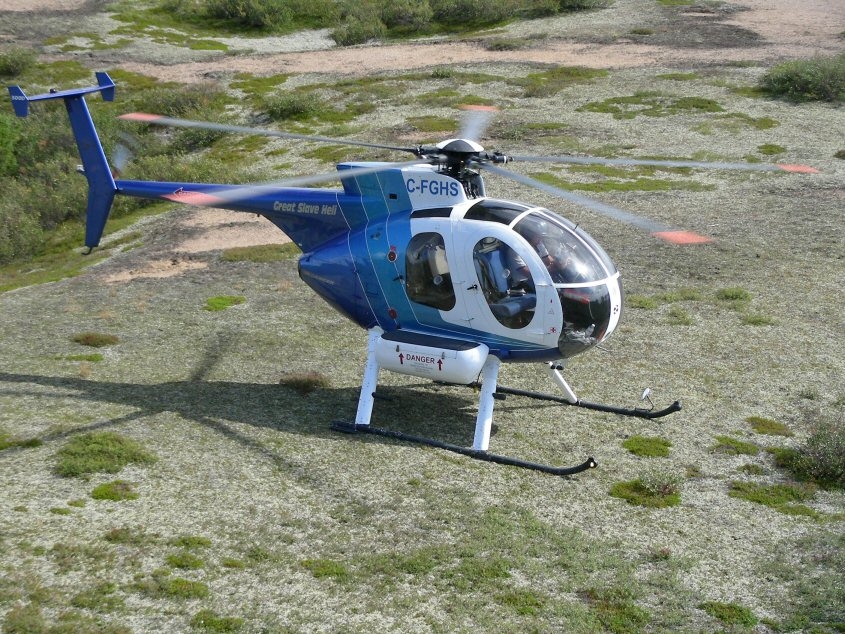 MD 500D, 1981 for sale on TransGlobal Aviation