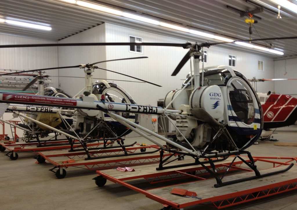 Schweizer 300C, 1980 for sale on TransGlobal Aviation